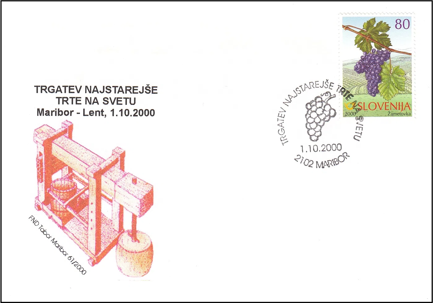 TRGATEV NAJSTAREJŠE TRTE NA SVETU